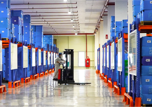 Lịch sử phát triển